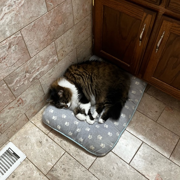 Meet your Posher, Regina - Picture 6 of 10